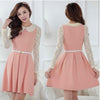 Korean Style Lace Collar Dress