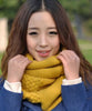 In Winter Knit Wool Scarf